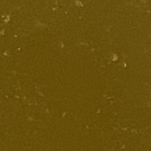 AquaOne Tierbild 12