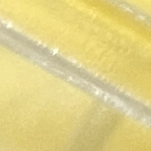AquaOne Tierbild 13