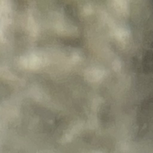 AquaOne Tierbild 16