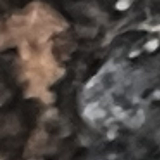 AquaOne Tierbild 18